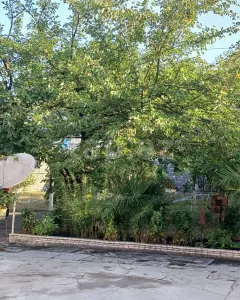 Həyət/Bağ Evi, Villa Kirayə verilir