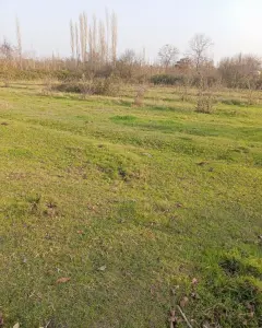 Torpaq sahəsi Satılır