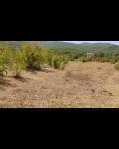 Torpaq sahəsi Satılır