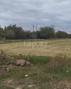 8 sot torpaq sahəsi, Samux r.