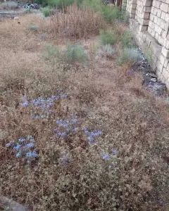 Other Commercial For Sale