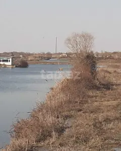 Digər Kommersiya Əmlakı Kirayə verilir